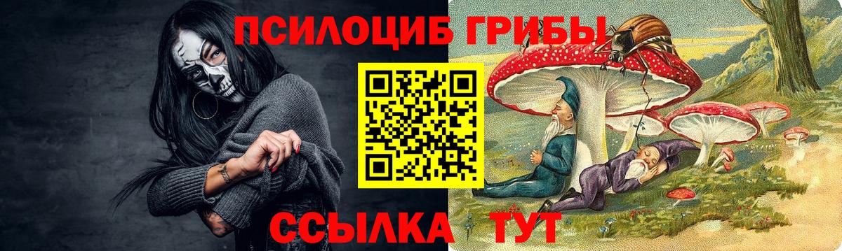 где найти наркотики  Вход с VPN  Апшеронск  Псилоцибиновые грибы Cubensis 